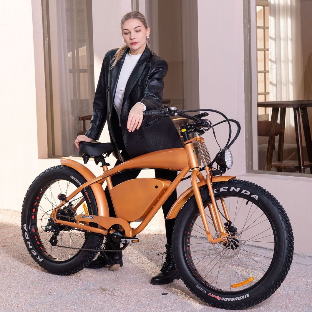 Factory Direct High Performance Bike Electric Bicycle Powerful Electric Mountain Inch 20