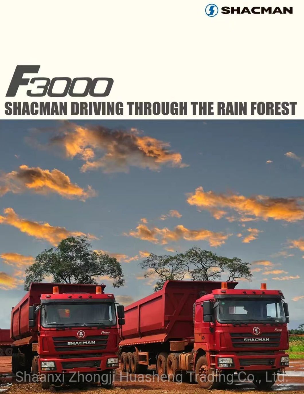China Shacman Euro2 Euro3 4*2/6*4 Tractor Truck Low Price for Sale