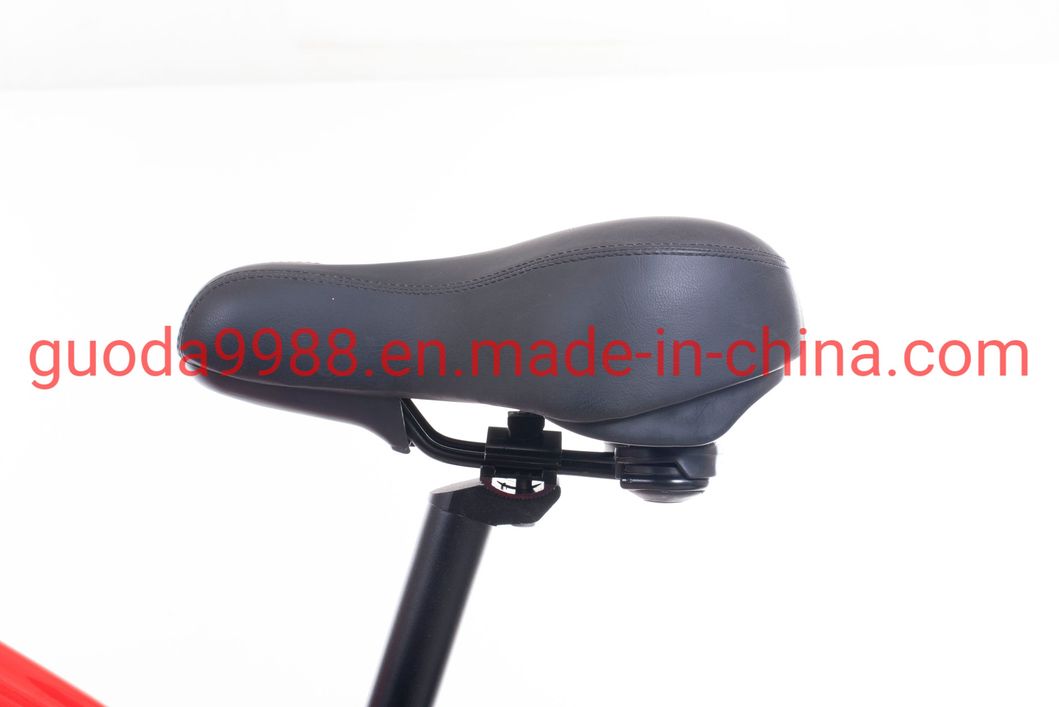 27.5&quot; Popular E-Bike 500W Electric Mountain Bicycle with Disc Brake