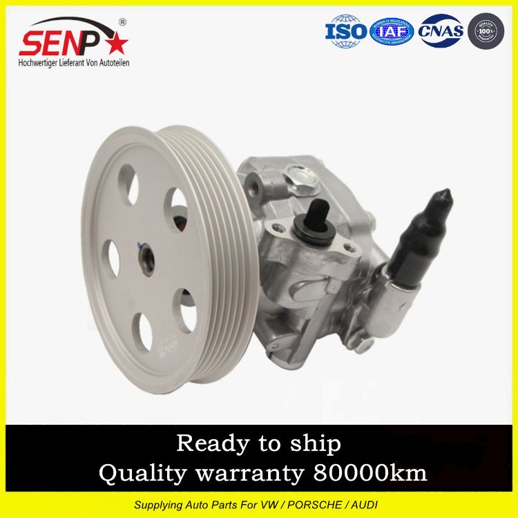 Senp 8K0145153f Original Quality Power Steering Pump Audi A5
