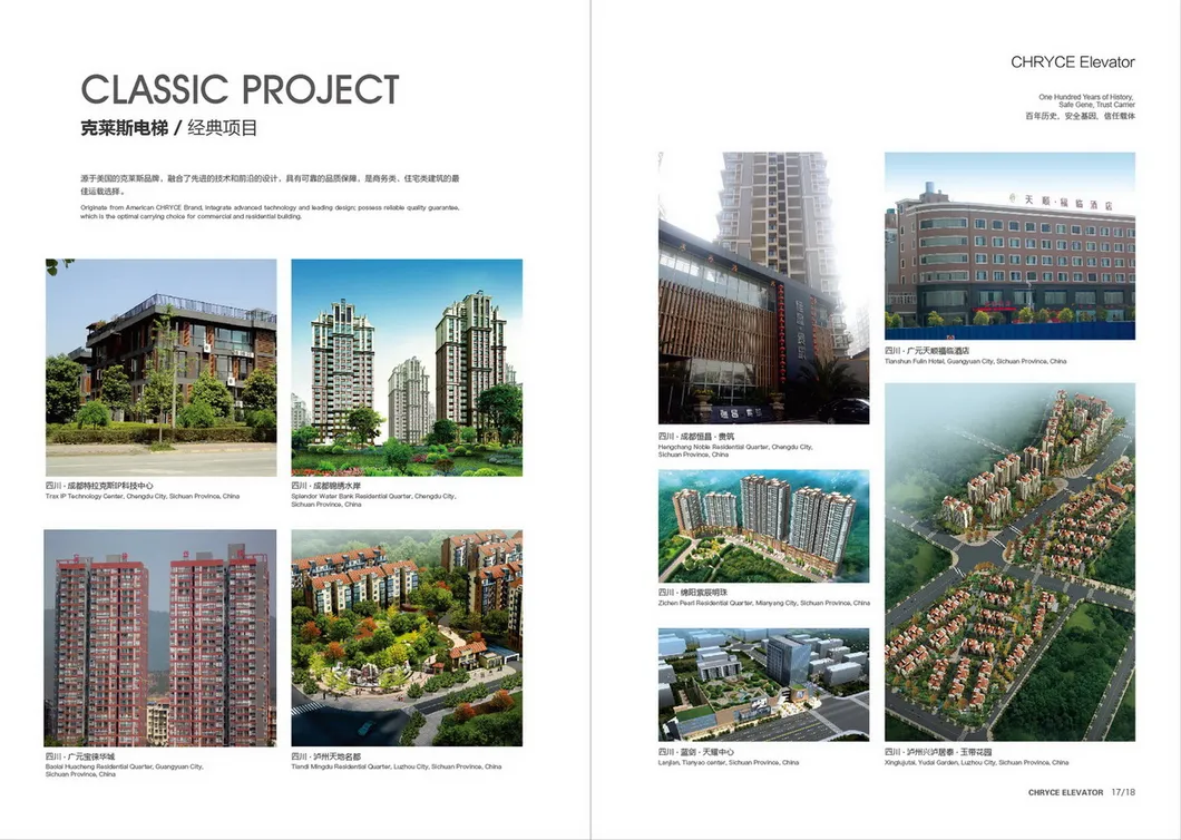 Luxury Lifts Villa Elevator Residential Cheap Passenger Home Elevator