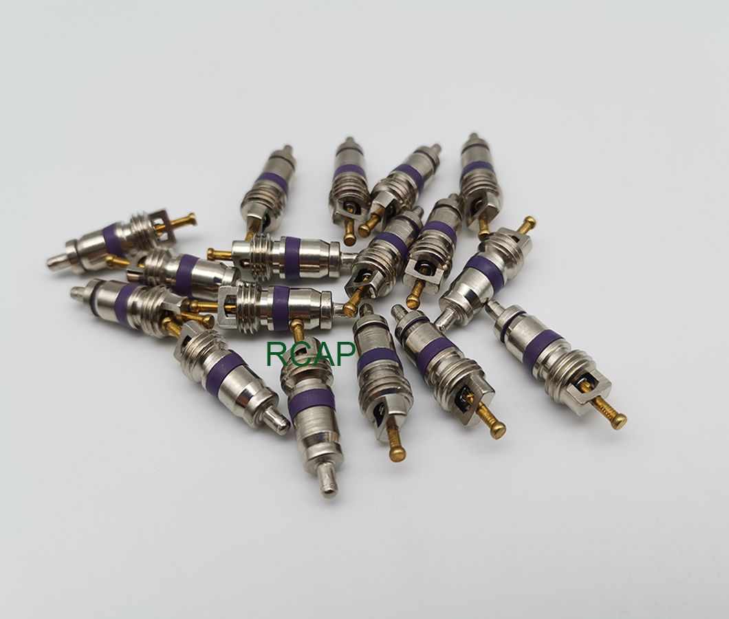 for BMW Benz Audi Valve Core Auto Air Conditioner Parts