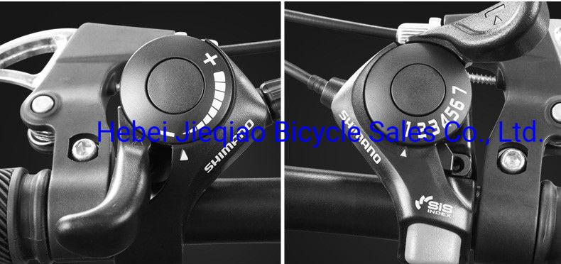 Customized 29 Inch Variable Speed Double Disc Brake Mountain Bike