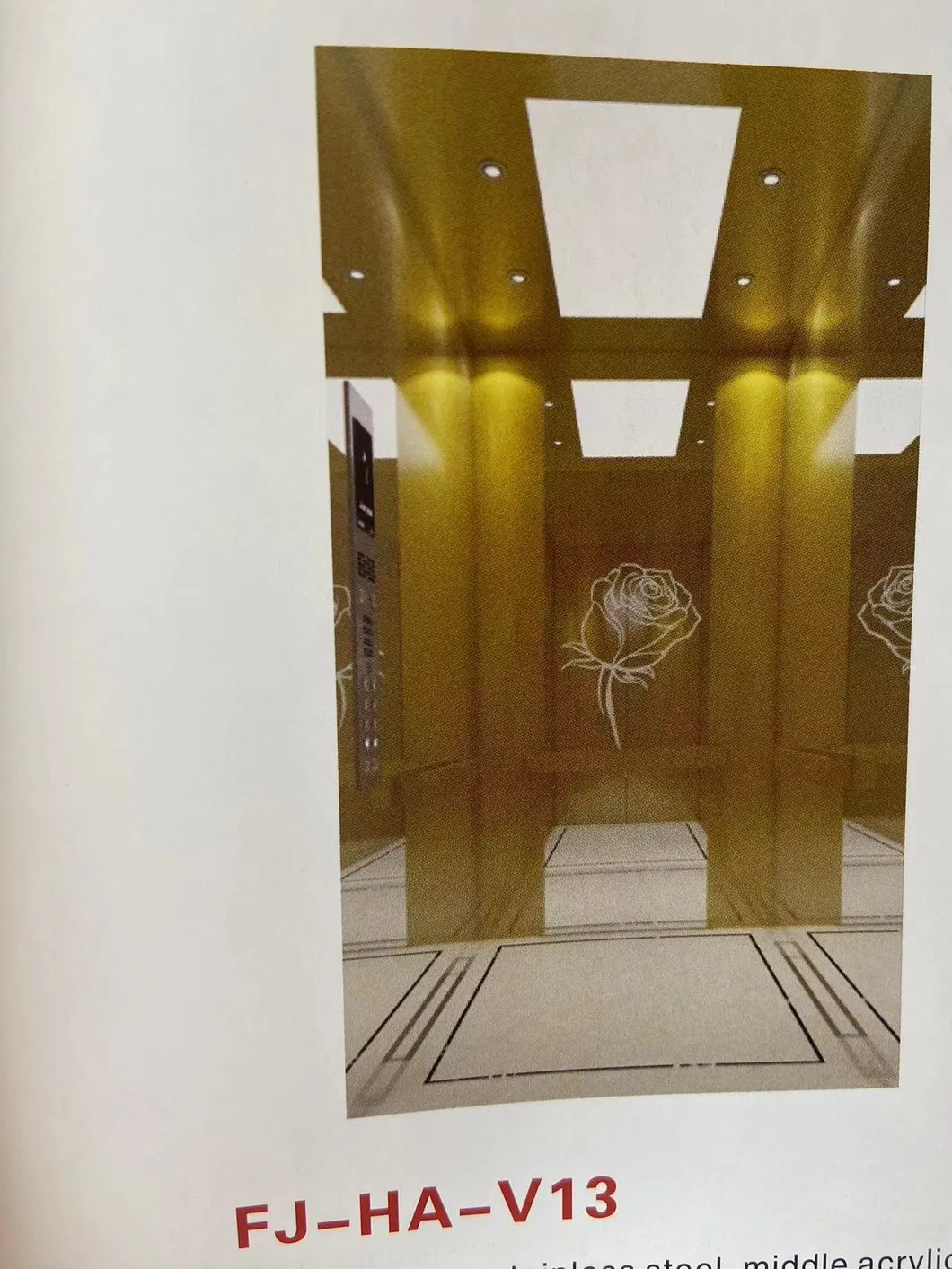 2023 Ha-FUJI Mirror Stainless Steel Villa Elevator Carmm Decoration and Design