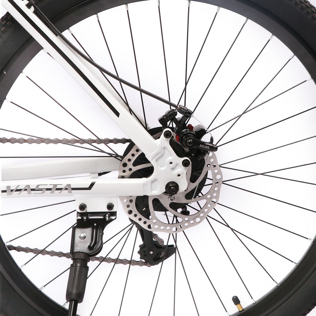 Best Seller MTB 21 Inch Multispeed Mountain Bicycle