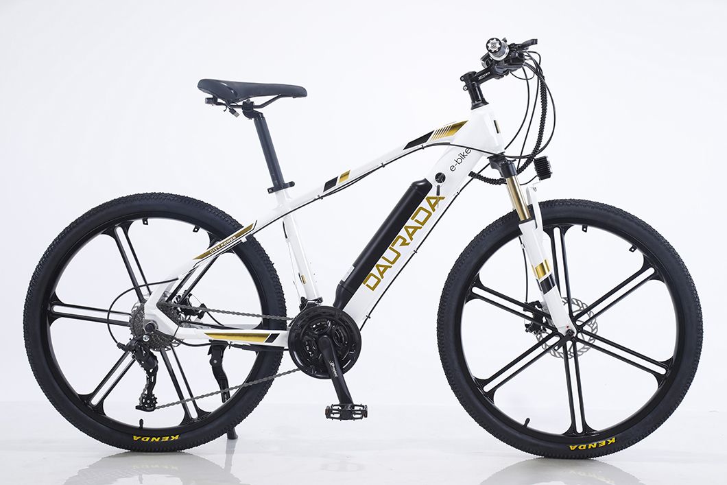 E-Bike Electric Bicycle 36V 26 Inch 24 Speed Green Power Chinese Adult