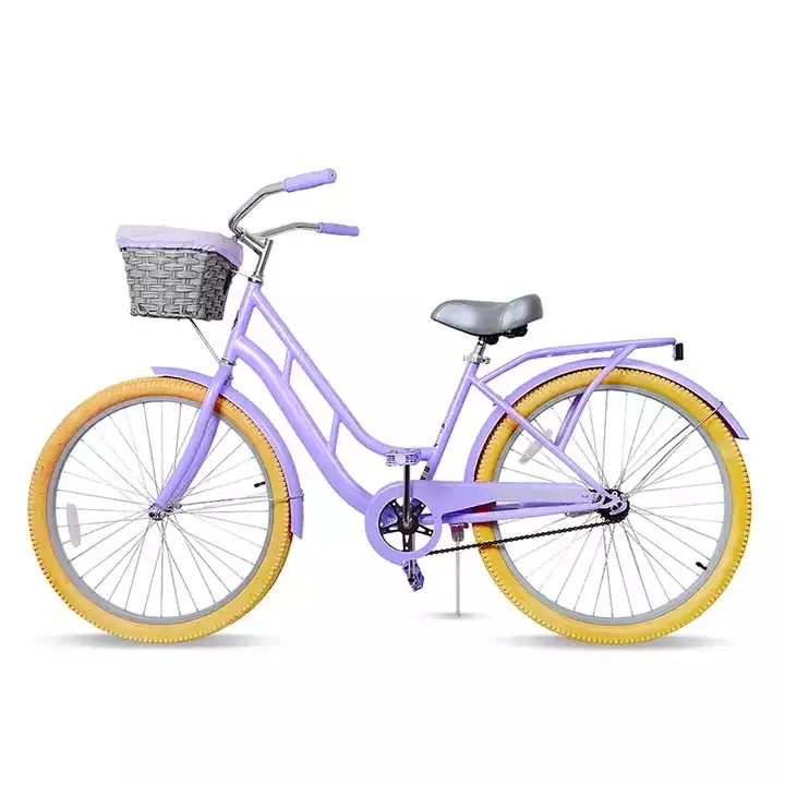 26inch Classic Bicycle with Basket Steel Coaster Brake Women Bicycle