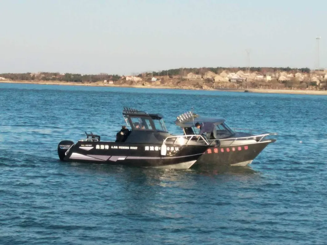 Hot Sell Aluminum Cabin with Hardtop Shark 6.5 M/21 FT Fishing Boat for Sale in China