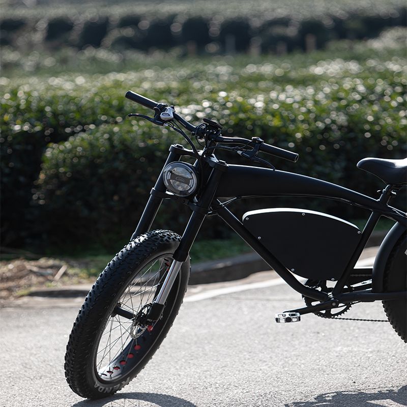 The Most Popular Electric Motorcycle with Lithium Battery Can Arrive Long Distance