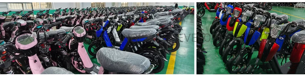 EEC/Coc/CE 48V 350W/500W/800W Sy-Lxqs Most Comfortable and City Adults Easy Riding High Speed Electric Scooter with Long Range