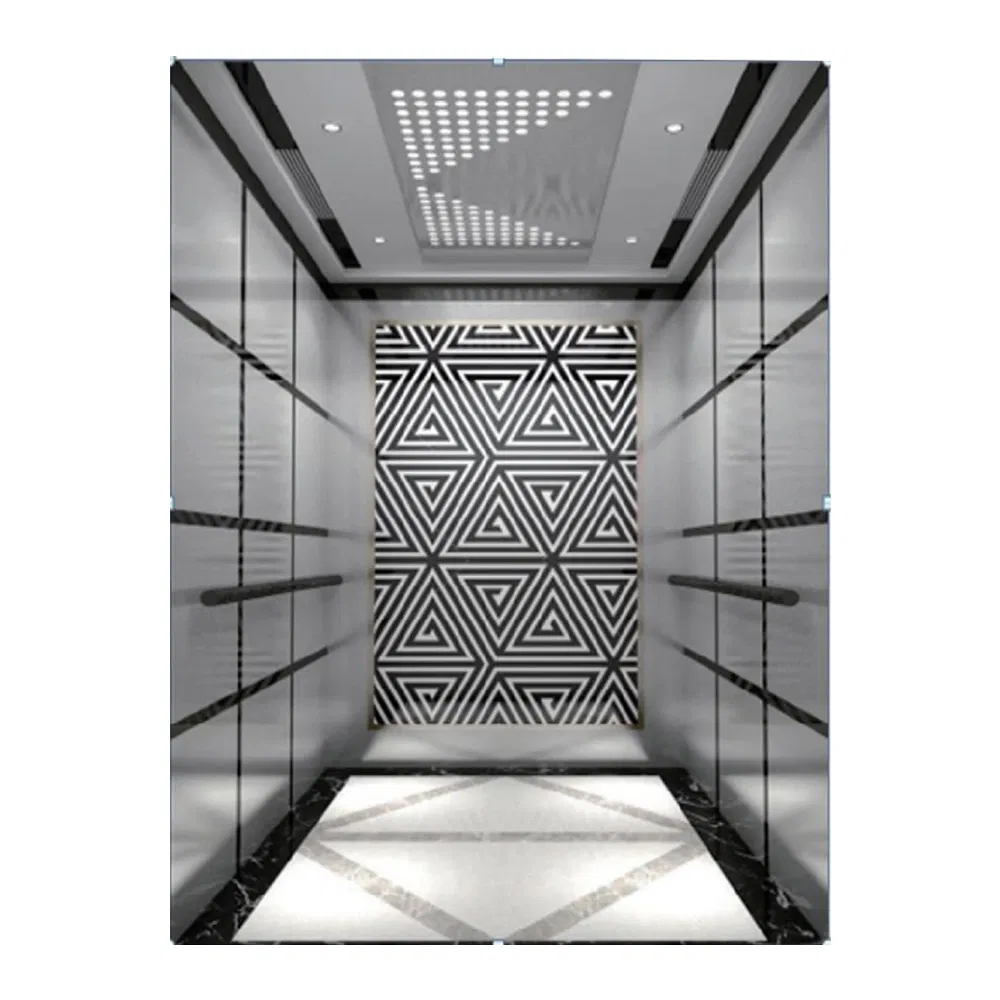 China Elevator Traction Type Passenger Elevator Lift Residential Lift