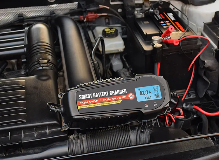 10 AMP 12 Volt Auto Battery Charger E Rickshaw Battery Charger Portable Battery 12V 24V Charger