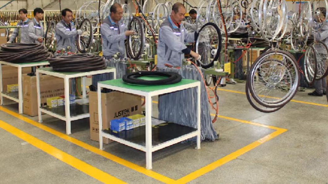 2022 New 29 Inch Steel Mountain Bike OEM Custom 29inch Steel Bicycle MTB Steel Frame 29er Mountain Bike