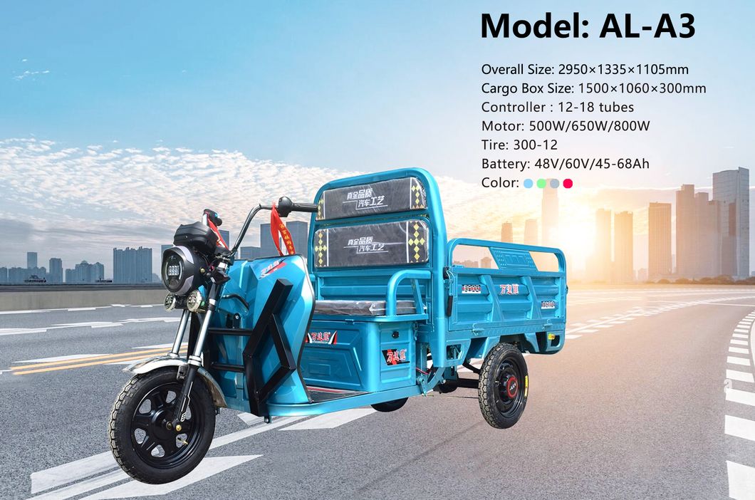 Electric Mini Tricycle Motorcycle for Cargo and Passenger