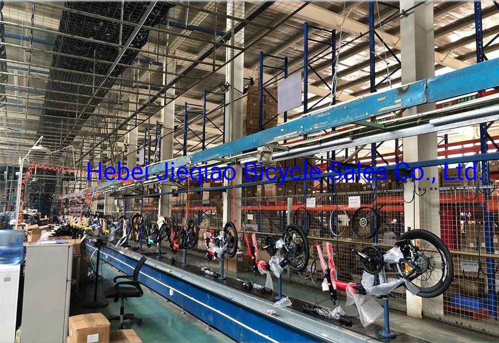 Customized 24 Inch 21 Speed Dual Disc Brake Mountain Bike