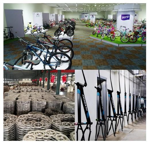 Tw Skys 20&quot;Mini BMX for Children High Appearance Level Performance Bike with High Cost Performance for Racing BMX of Race for Children
