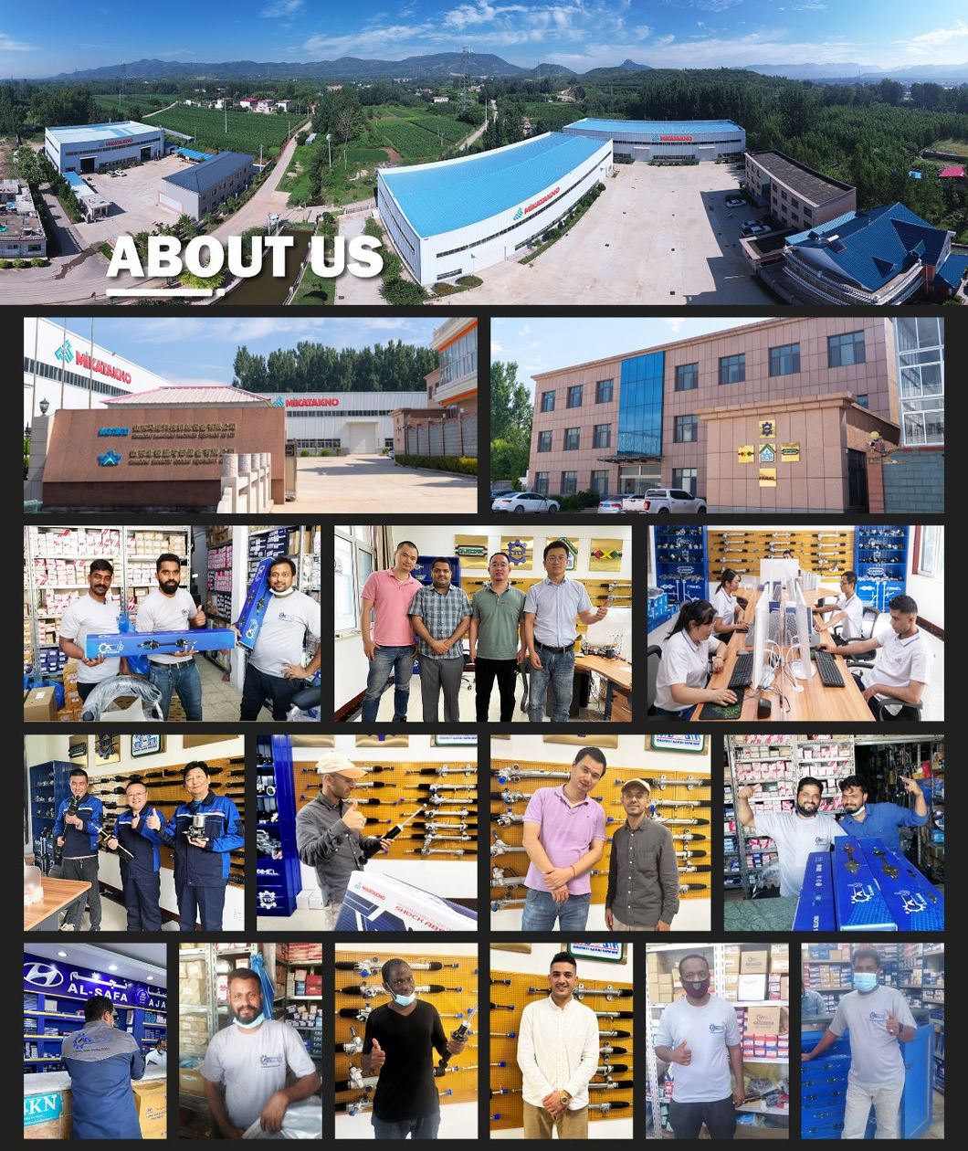 Universal Auto Parts Bushings for All American, British, Japanese and Korean Cars Manufactured in High Quality and Factory Price with Wholesale Supplier