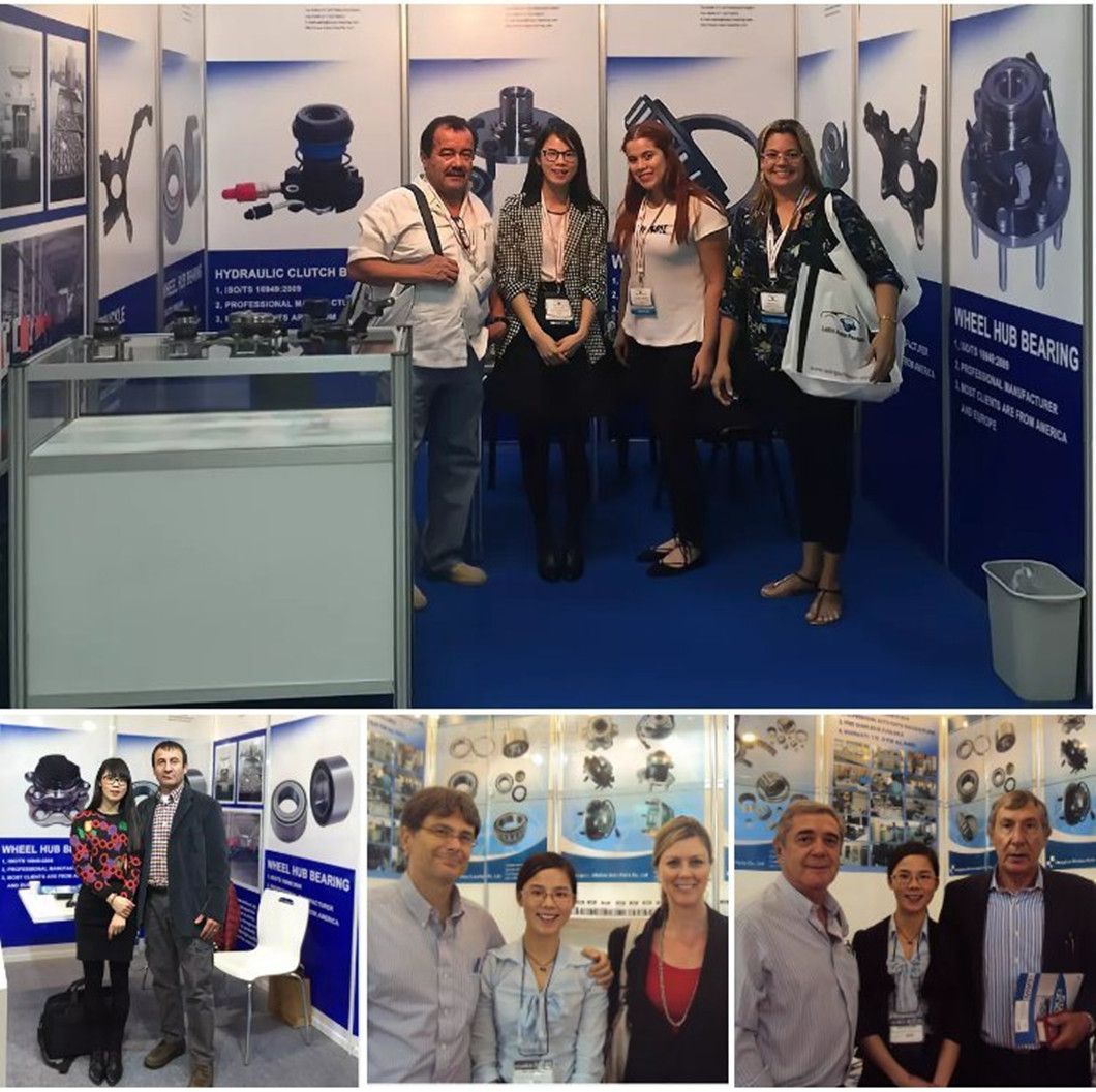 Automobile Car Parts Wheel Bearing DU4073005 93824579 42470845 42470840Car Bearing,Auto Bearing For I V E C O