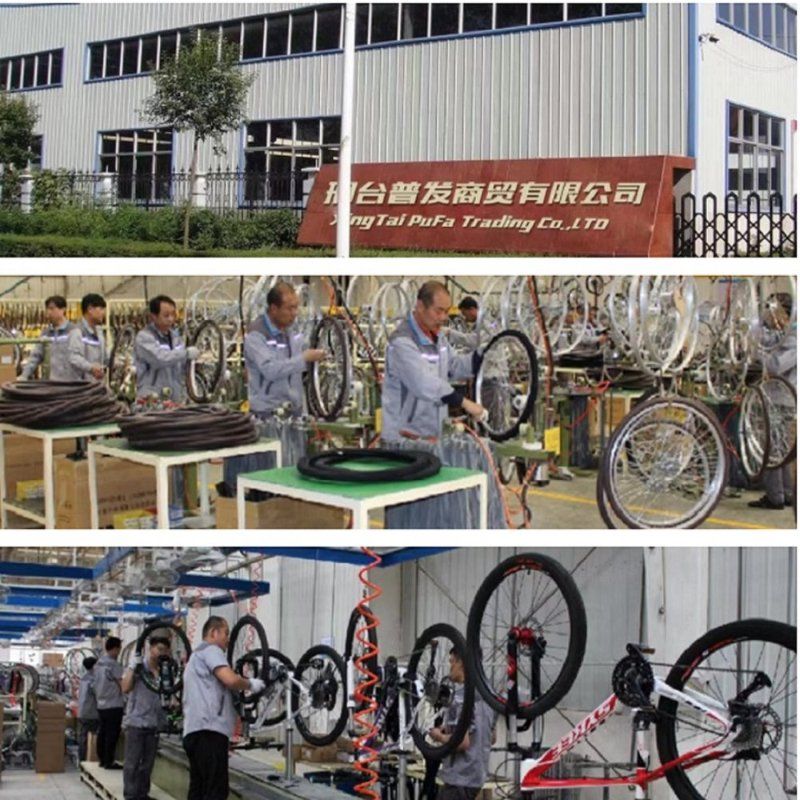 Factory Supply Electric Bike 48V 10ah Lithium Battery E Bike