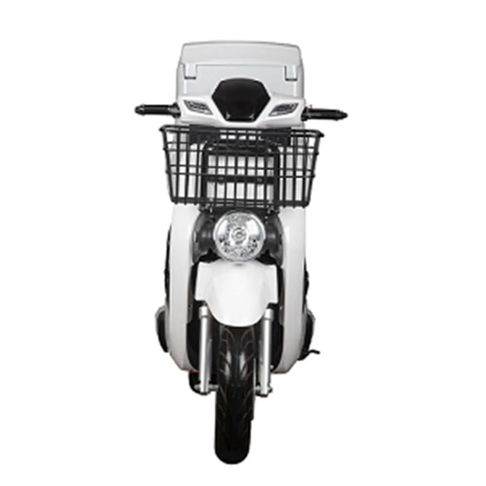 Big Renting Swapping Cargo Delivery Takeaway Takeout Express Electric Scooter