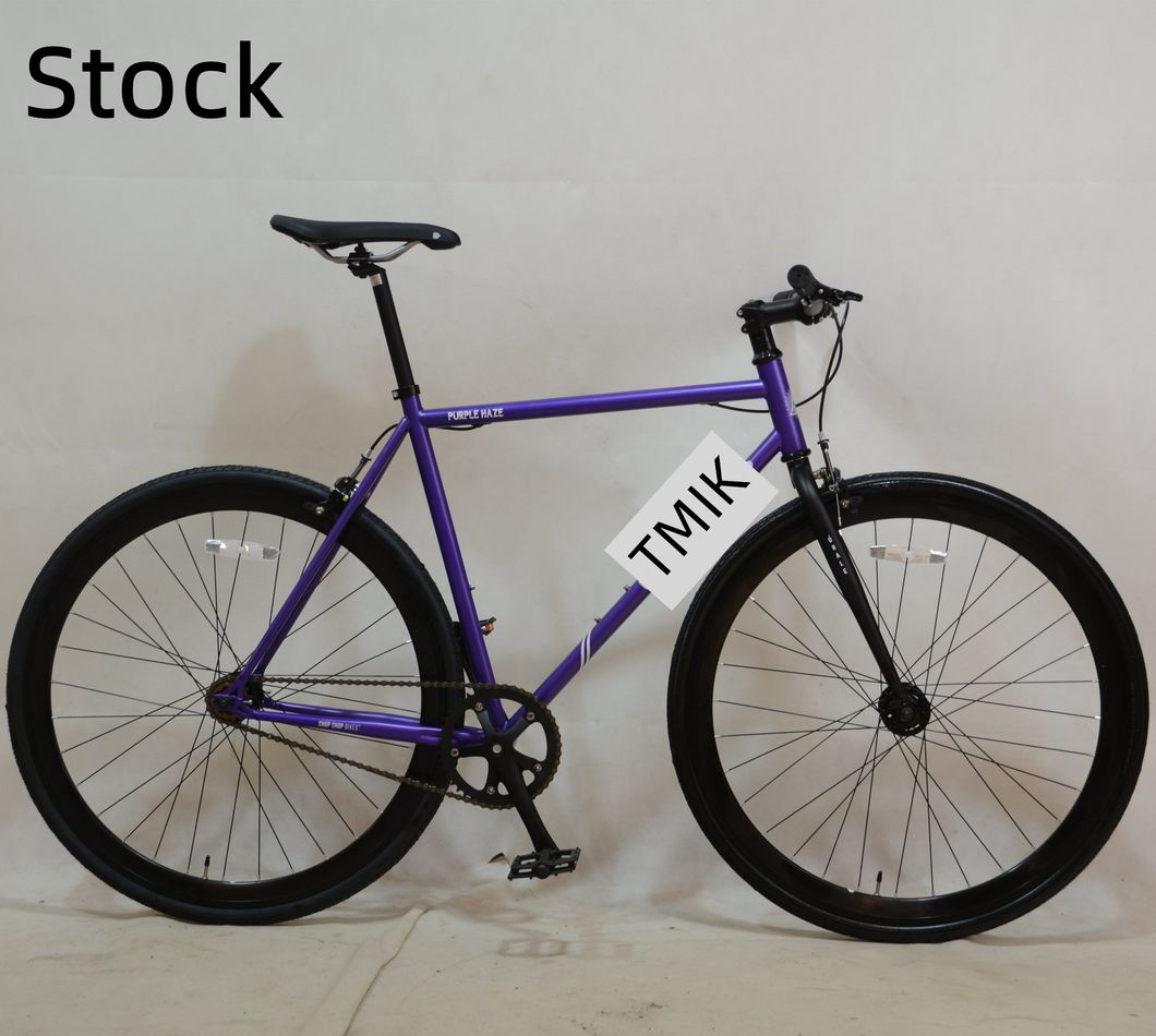 Tmik OEM Tianjin Professional Factory E Bike Single Speed 700c Fixed Bike