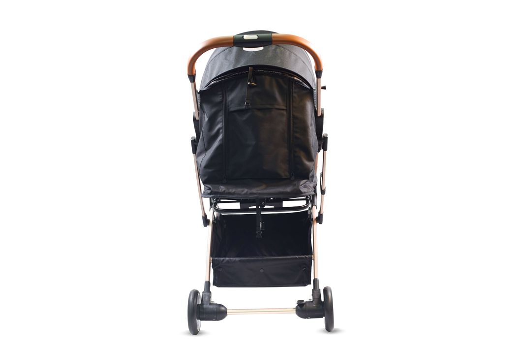 Portable Aluminum Alloy Light Baby Stroller High View Buggy