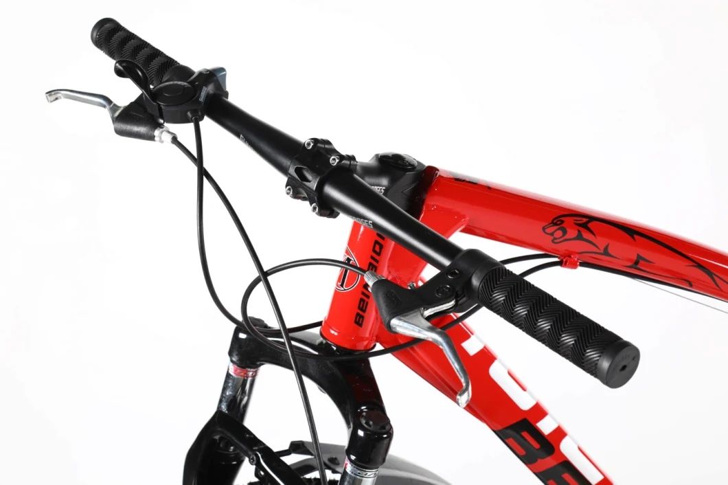 Wholesale Customized Snow Mountain Bike Iron Frame 26inch 7speed Bicycle