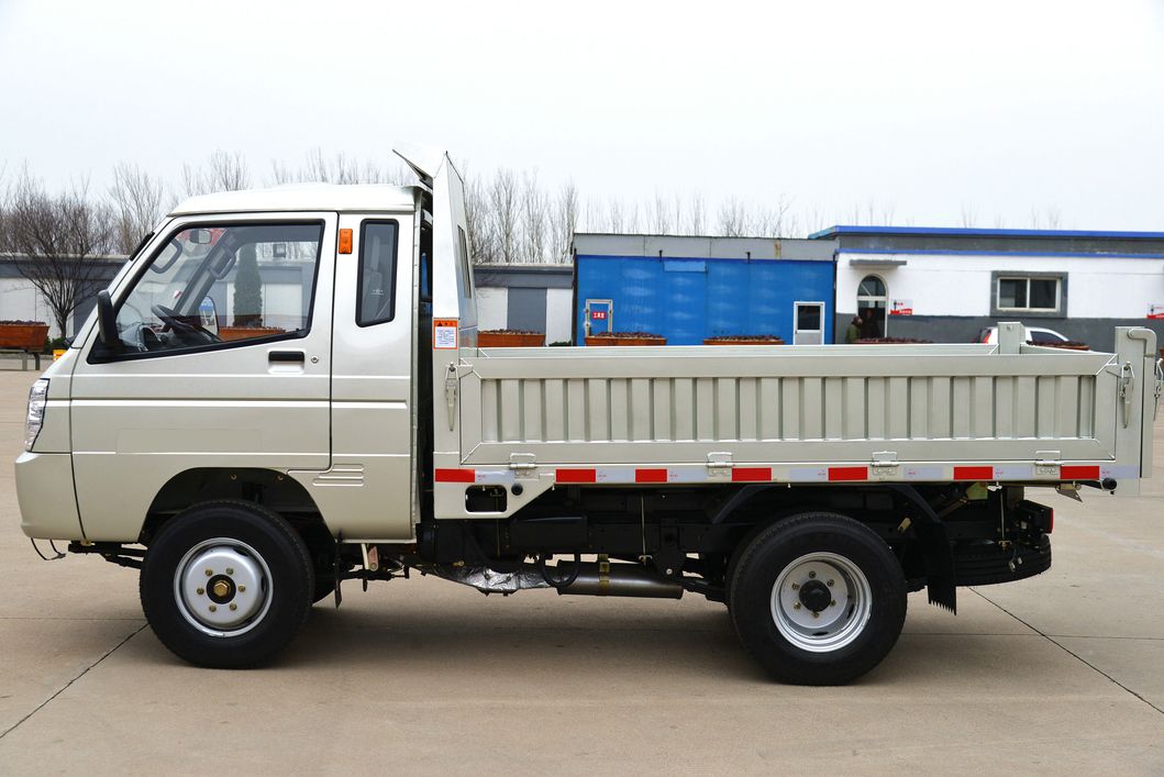 Dump/Tipper/Dumping Truck with Single Row Cab Gasoline Engine From China