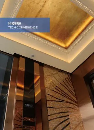 Xizi High Speed Passenger Elevator/Lift with Machine Roomless From China