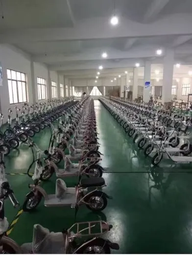 CE Foldable Approved Electric Tricycle Moped Four Wheel Mobility Scooter
