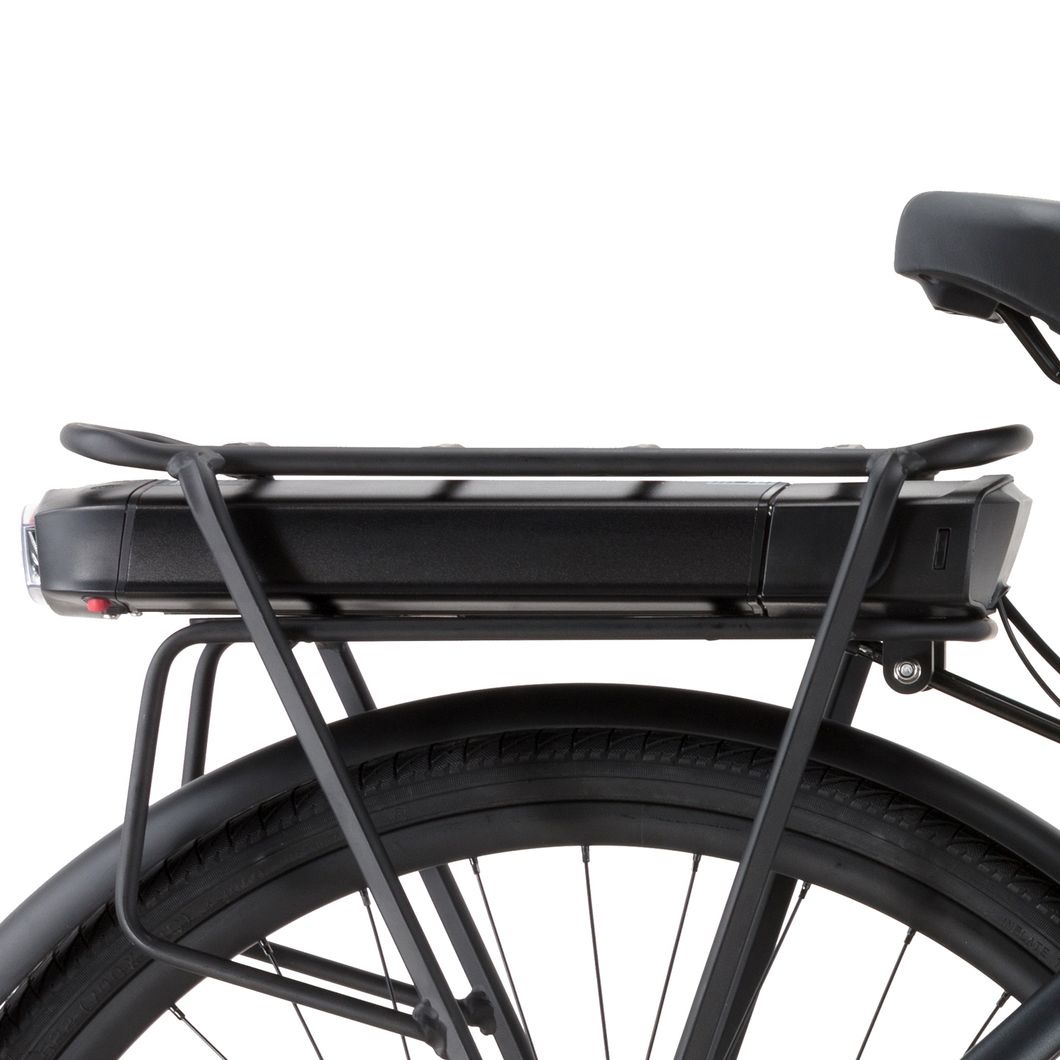 36V 250W 9 Speed E-Bike with Aluminum Frame