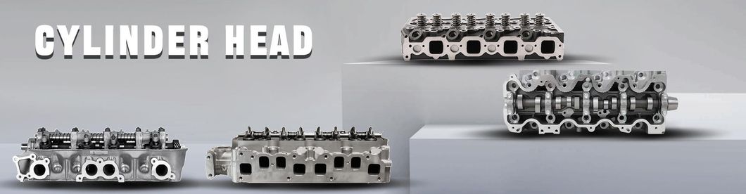 Cylinder Head for Nissan Cabstar Frontier 2.5L Yd25-ETI 11040-5X00A
