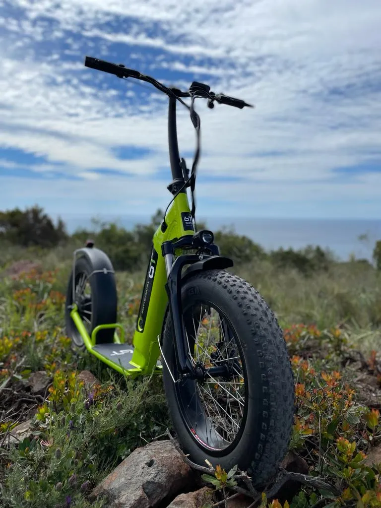 2 Wheel 500W Adult off Road Lithium Electric Scooter for Sale
