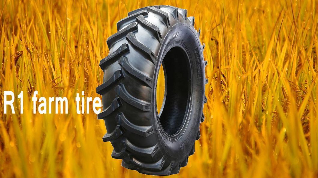 Agricultural R1 Tyre / Agr Tyres /Tractor Tire/ Farm Tires (5.50-17, 7.50-20, 8.3-20, 8.3-24, 9.5-20) Tyre with DOT