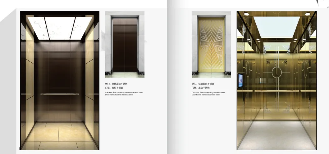 FUJI Household Villa Glass Home Elevator/Small Elevator Glass Home Elevator Passenger Elevator Price Lift Elevator Manufacturer