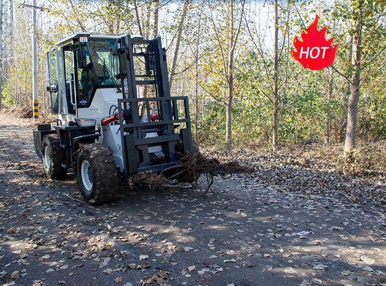 Loading Capacity 6 Ton Lifting Height 4m Truck Forklift