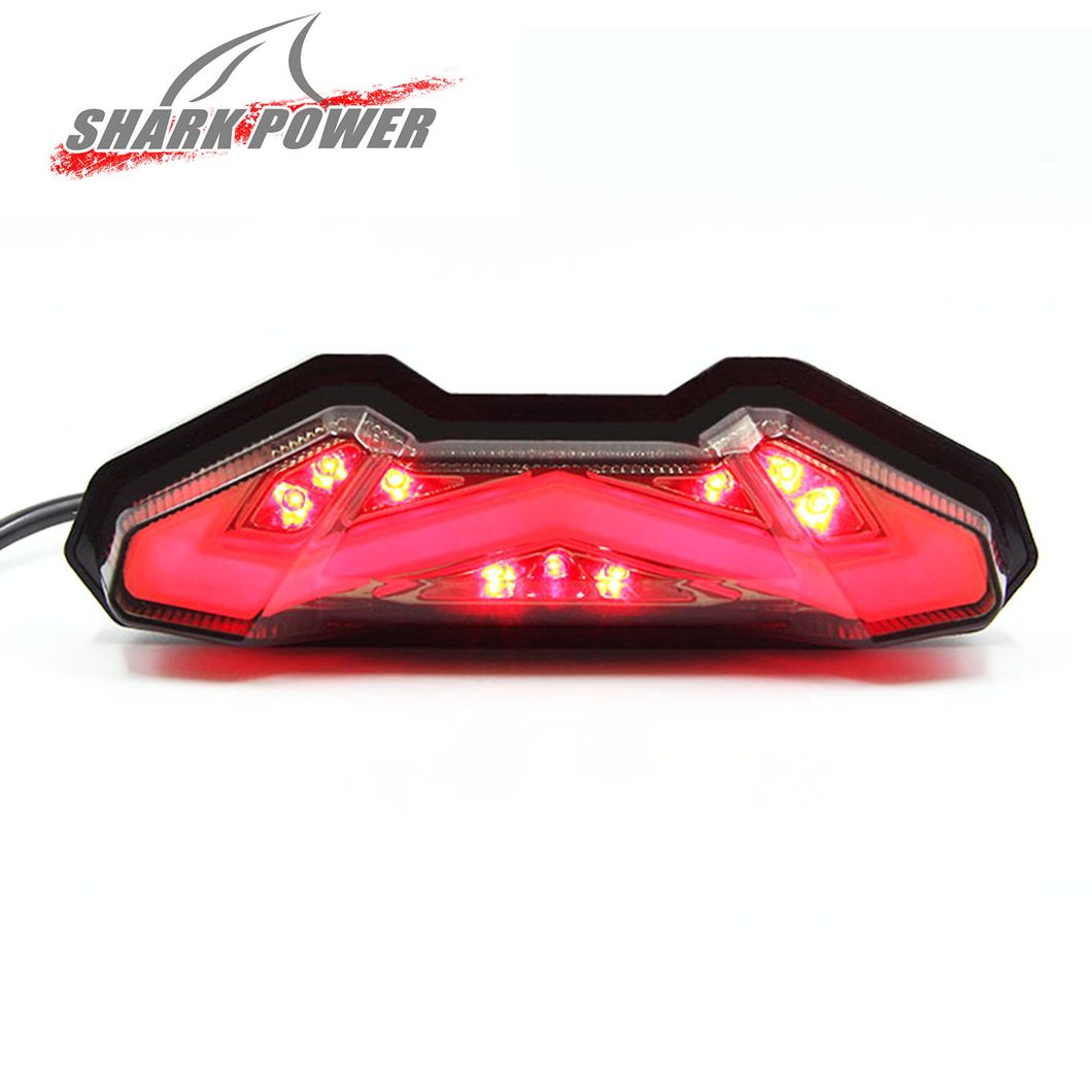 Motorcycle Accessories Brake Turn Light LED Tail Lamp for Mt09