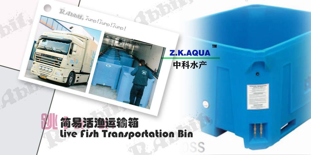 High Performance Live Fish Transport Container Specilal Transportation for Fish