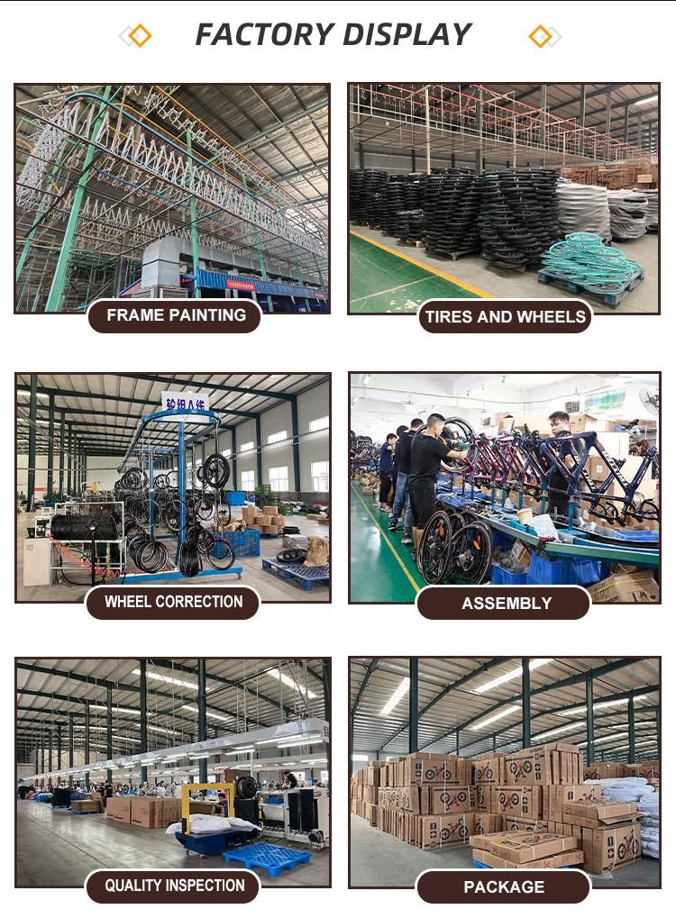 Factory Supply Foldable Bicycle 20 Inch Double Color Aluminum Alloy Frame Folding Bike Bicycle 5% off