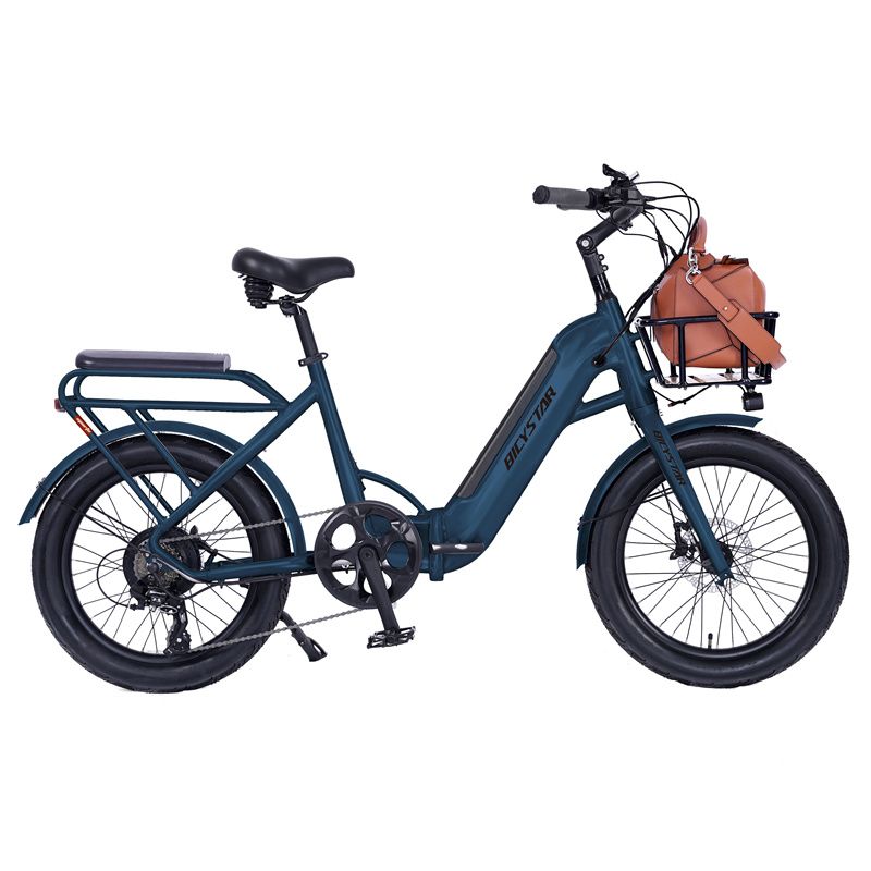 Long Range Cargo Electric Bike EEC Certification EU Warehouse with Carrier