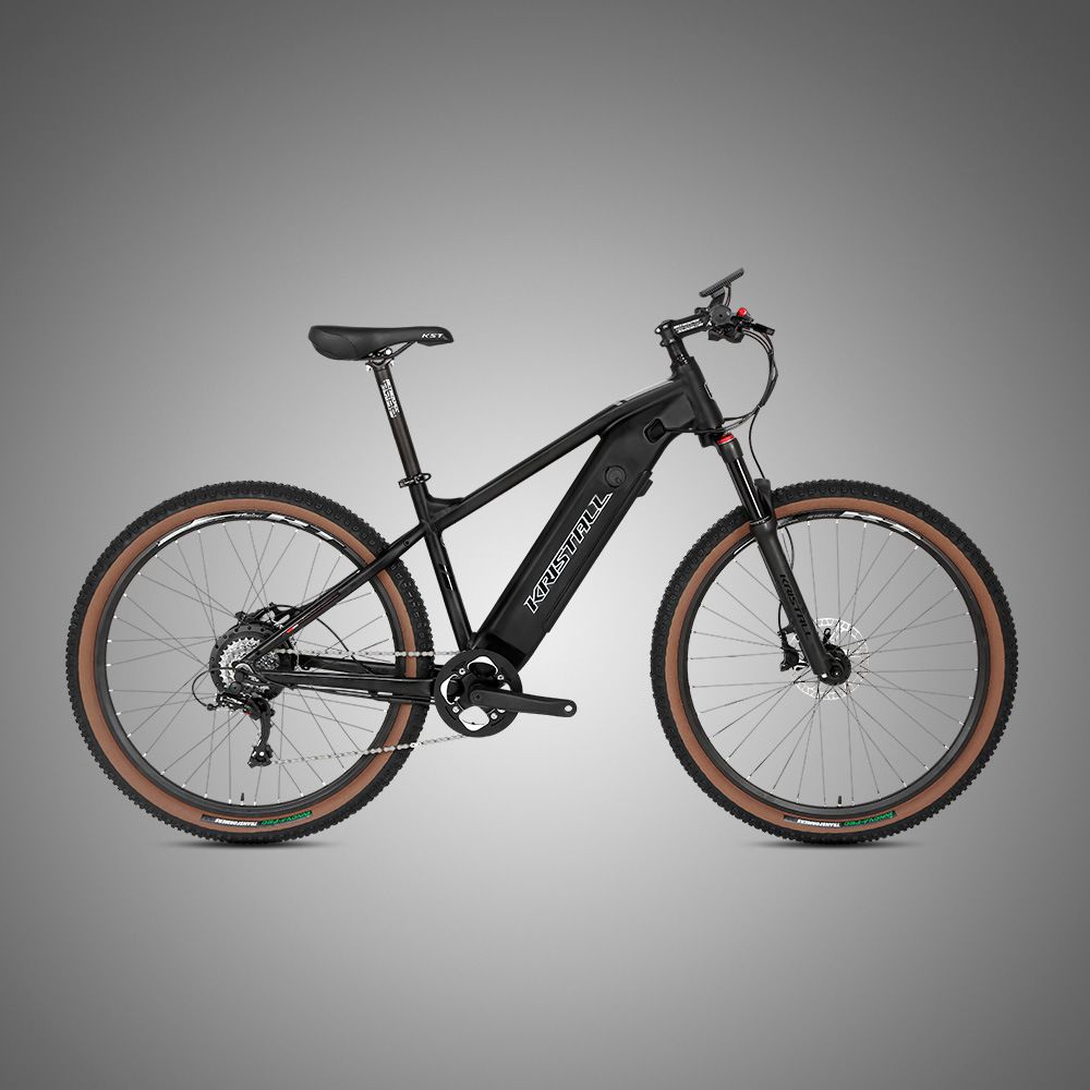 E300 Variable Speed Disc Brake Lithium Battery 48V Electric Assist Mountain Bike
