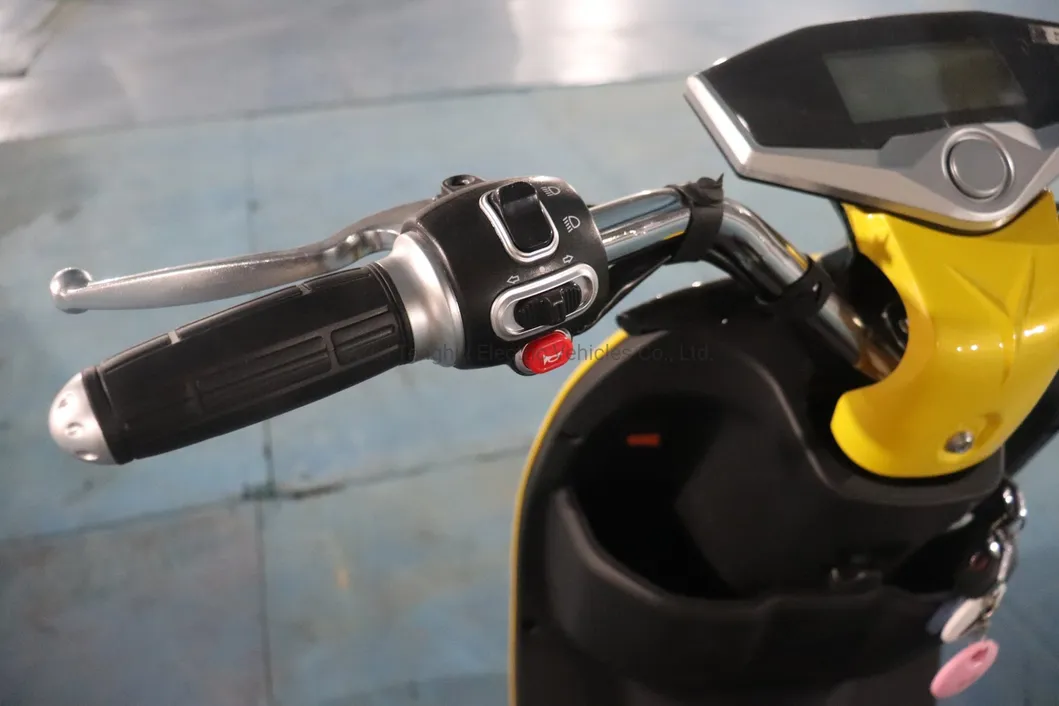 1000W Motor Power Electric Scooter Popualr Sale Model in India Market