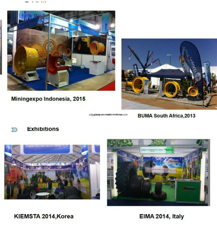 Radial Agricultural Industrial Tyres of R4 (10.5/80R18, 12.5/80R18, 16.9R24, 16.9R28, 17.5LR24, 19.5LR24)
