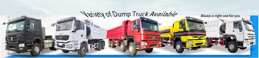 Cheap HOWO 371HP 6X4 Heavy Duty 30-50 Tons Tipper Dumper Truck for Earthmoving/Sand Loading