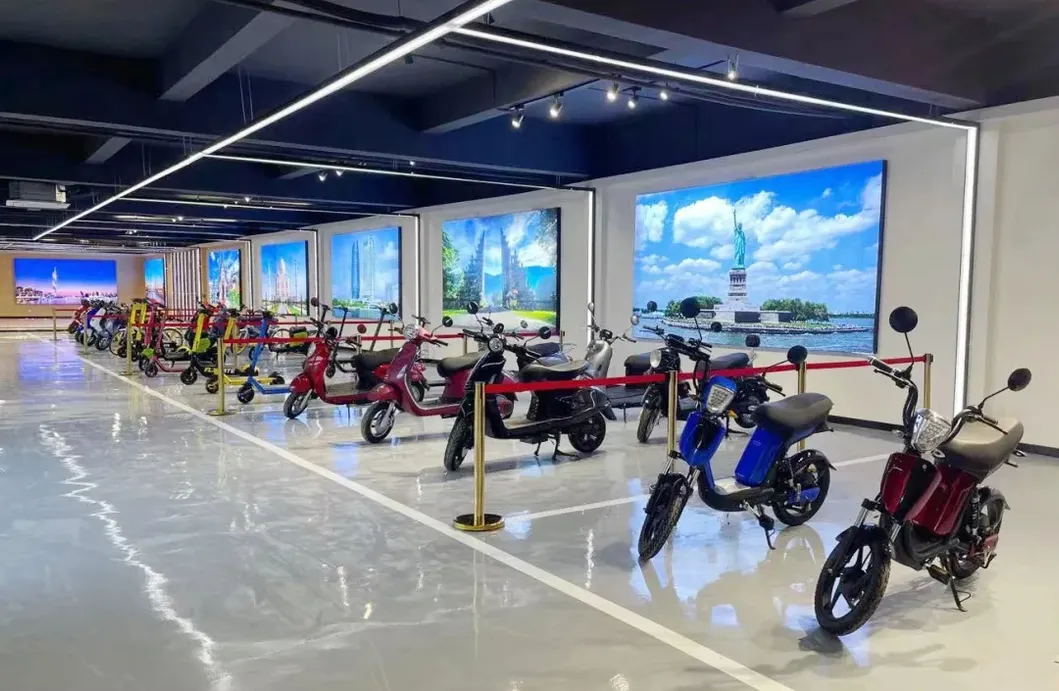 Flymate FM02 European Hot Deal Solid Extreme Sports Electric Scooter