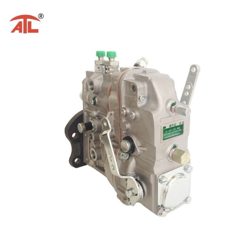 Fuel Injection Pump (10400872003 CPES2A80D410RS2179) for Diesel Engine (BeiNeiF2L912D)