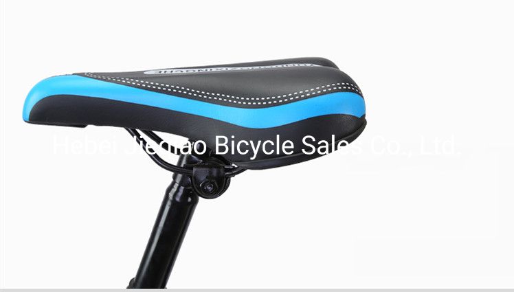 New 22 Inch Variable Speed Double Shock Absorption Mountain Bike