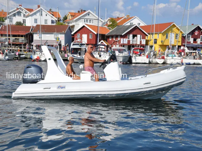 Liya 5.8m Rigid Boats Bimini Semi Rigid Boats for Sale