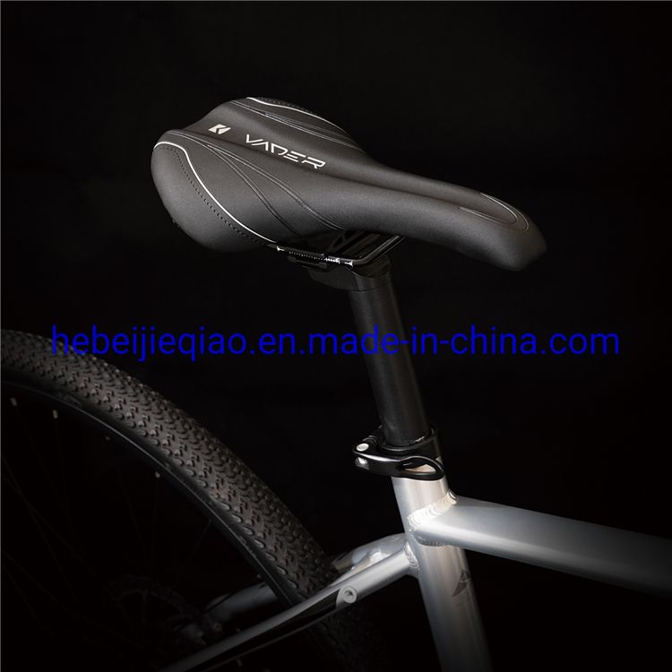 36V 11speed Racing Electric Bike with Shimano Motor E-Bike