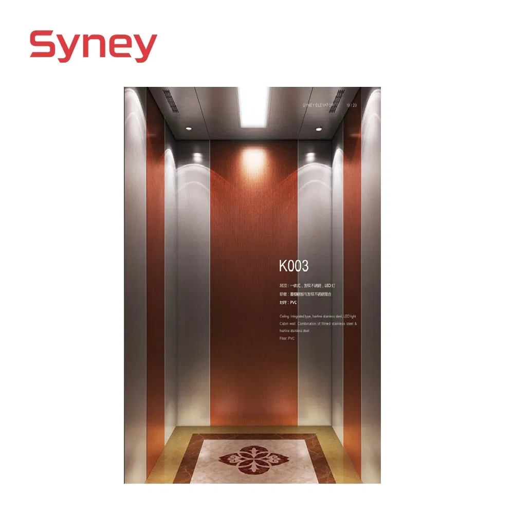 Passenger Residential 400/630/800kg Villa Home Lift Elevator